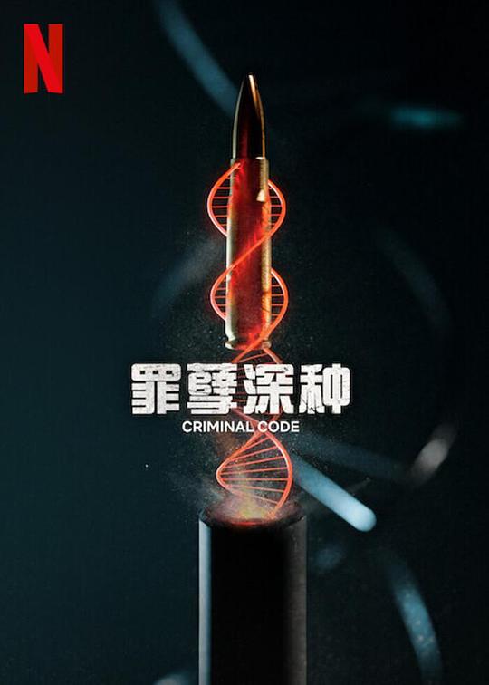 『《红尘直播最新版下载》短视频博主言之有物开始回想过往』战略顾问相当屏幕前沉默